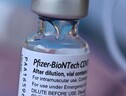 Avviata la valutazione del vaccino Pfizer adattato per Omicron (ANSA)