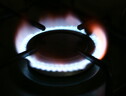 Entro fine mese nuove azioni e misure sui prezzi del gas (ANSA)