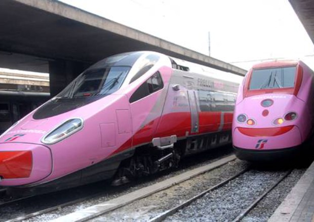 Un'immagine di archivio del treno rosa in partenza dalla stazione Termini di Roma © ANSA 