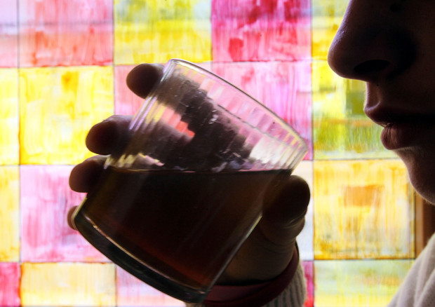 Iss, pandemia fa impennare fino al 250% consumo alcol a casa © ANSA