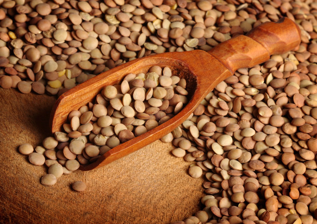 Legumi 'scudo' anti-diabete, in particolare lenticchie  © Ansa