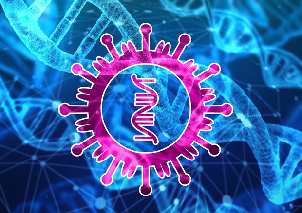 Le seuqenze del virus SarsCoV2 necessarie per decidere la terapia (fonte: Gerd Altmann da Pixabay) (ANSA)