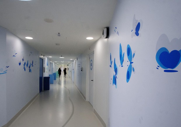 L'Ospedale  Infantile Regina Margherita di Torino - Foto d'archivio © ANSA 