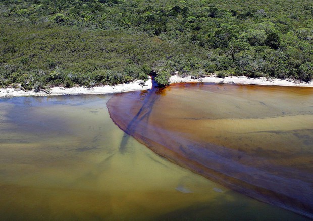 Brasile: chiazze di petrolio riappaiono su spiagge nord-est © ANSA 