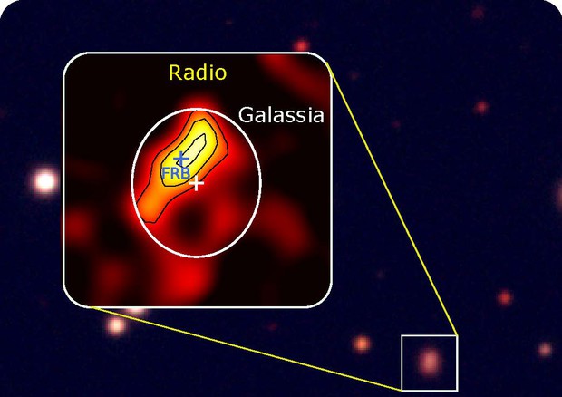 Immagine radio realizzata con il Very Large Array (VLA) della regione di formazione stellare. La croce indica il lampo radio veloce (fonte: G. Bruni, B. O’Connor) © Ansa