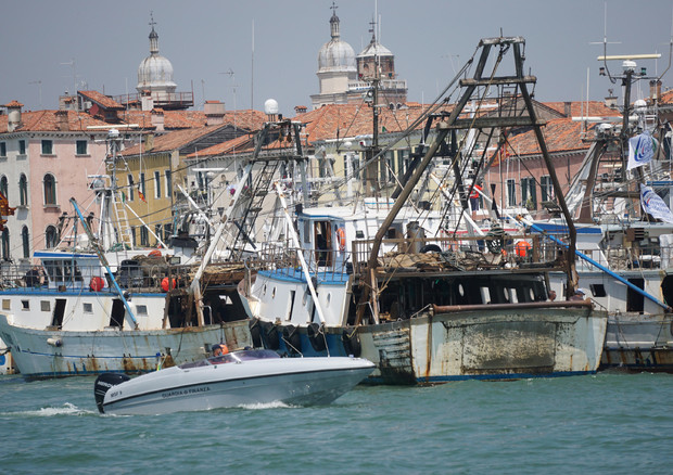 Pesca, nuovo stop per 7 giorni da Marche a Puglia © ANSA