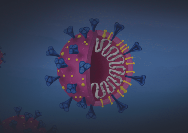 Rappresentazione grafica del virus SarsCoV2 (fonte: Innovative Genomics Institute) © Ansa
