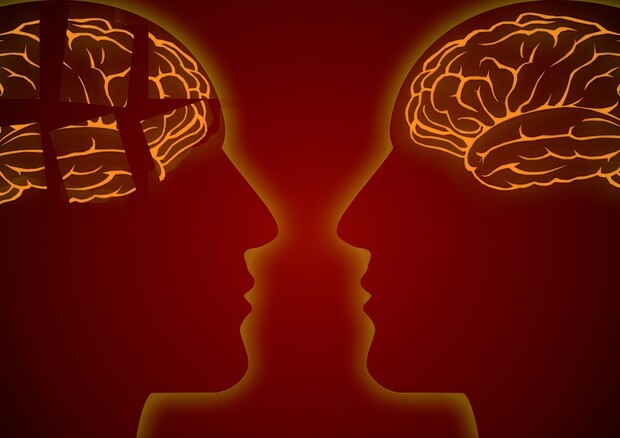 Il cervello dei super-anziani presenta neuroni più grandi (fonte: Pixabay) © Ansa