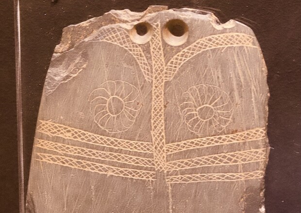 Un gufo inciso su una placca di ardesia conservata al Museo de Huelva (fonte: Juan J. Negro) © Ansa
