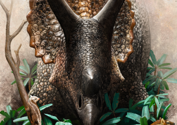 Triceratops prorsus che mastica le cicade disturba i cugini primitivi dei mammiferi placentali (a sinistra) e marsupiali (a destra) nel sottobosco, mentre una tartaruga dal guscio morbida si arrampica su un tronco (Fonte: Henry Sharpe)e © Ansa