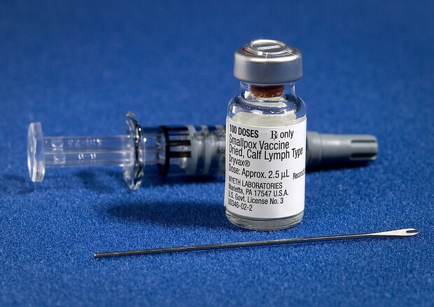 Vaccino contro il vaiolo utilizzato durante le campagne degli anni '60 e '70 (fonte: James Gathany, CDC da Wikipedia) © Ansa