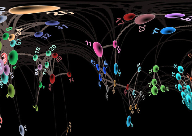Rappresentazione grafica della rete di relazioni fra gli anticorpi (fonte: Aida Pitarch da Wikipedia) © Ansa