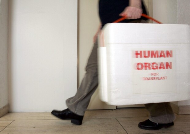 Trapianti: nel 2022 record di donazioni di organi, +3,7% © ANSA