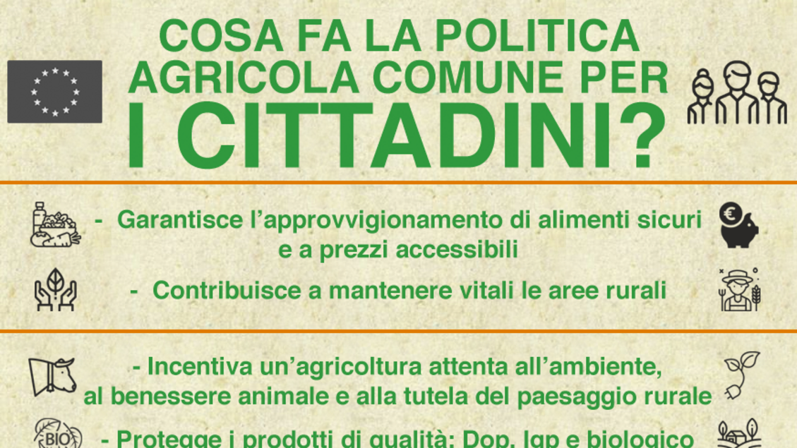 INFOGRAFICA - Politica agricola comune e cittadini - RIPRODUZIONE RISERVATA