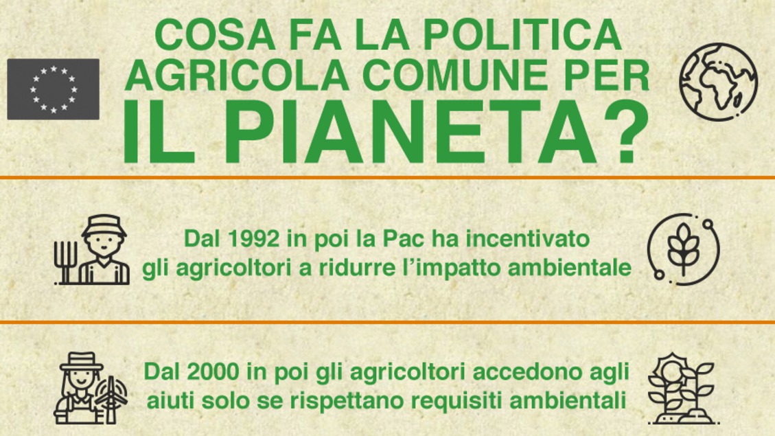 INFOGRAFICA - Cosa fa la politica agricola Ue per il pianeta? - RIPRODUZIONE RISERVATA