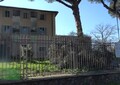 L'Ercole ritrovato, importante scoperta nel Parco archeologico dell'Appia Antica