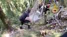 Spoleto, mucca salvata dai Vigili del fuoco in elicottero (ANSA)