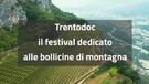 Trentodoc, il festival dedicato alle bollicine di montagna (ANSA)