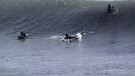Maltempo, mareggiata a Genova: surfisti in azione (ANSA)