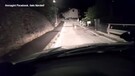 Automobilista incontra un lupo in un paese sopra Trento (ANSA)