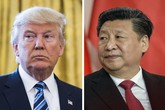 Donald Trump e Xi Jinping (ANSA)