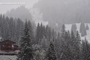 Maltempo, neve in Trentino: sopra i 2.000 metri caduti oltre 20 cm
