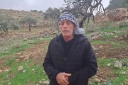 I contadini palestinesi: 'I coloni sono armati e ci tolgono le terre'