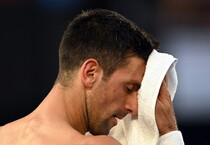 Novak Djokovic (ANSA)