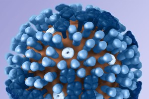 Il virus dell'influenza (fonte: CDC) (ANSA)