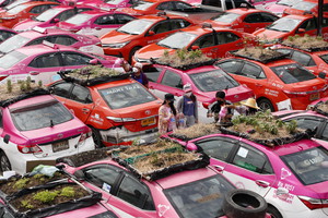 Unused taxis become vegetable garden to fight COVID-19 economic crisis (ANSA)
