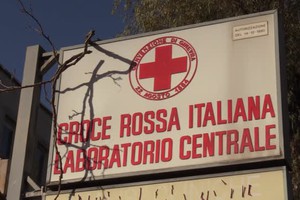 Covid, tamponi gratis per bambini nel quartier generale della Croce Rossa a Roma (ANSA)