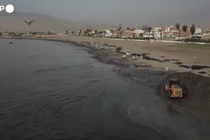 Peru', volontari ripuliscono le spiagge inquinate dal petrolio (ANSA)