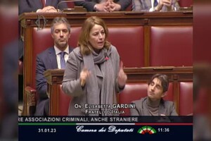 Camera, Donzelli anticipa le parole di Gardini durante l'intervento (ANSA)
