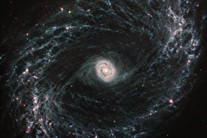 La galassia a spirale NGC 1433 fotografatadal telescopio Webb, ricca di stelle nascenti che emergono dalla fitta rete di gas e polveri (fonte: NASA, ESA, CSA, and J. Lee/NOIRLab, A. Pagan/STScI) (ANSA)