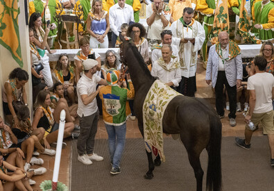 Palio di Siena, la benedizione dei cavalli (ANSA)