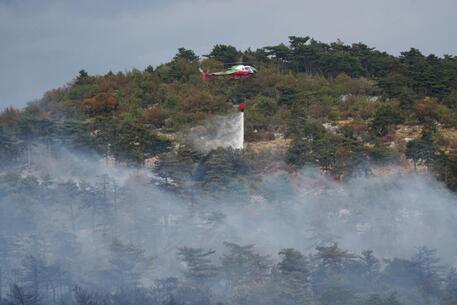 L'incendio nel Carso è ora sotto controllo © ANSA