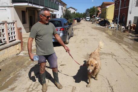 Il cane Rocco con il padrone Massimo, foto ANSA di Gianluigi Basilietti © Ansa