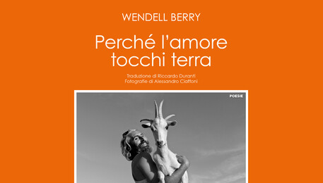 Wendell Berry, Perché l'amore tocchi terra (ANSA)