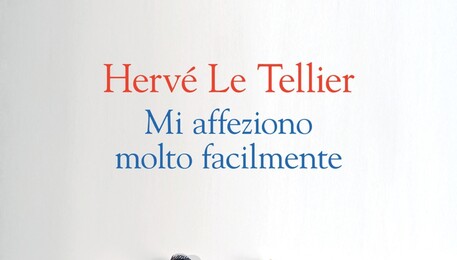 'Mi affeziono molto facilmente', torna Hervé Le Tellier (ANSA)