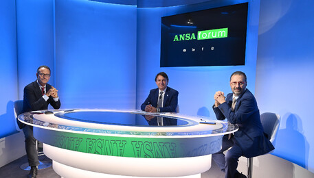 Forum ANSA con Pasquale Tridico (ANSA)