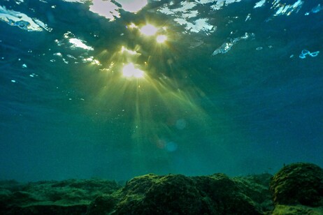 Il Mar Mediterraneo tra aumento temperatura e calo alghe (simbolica, generica, foto subacquea, climate change, emergenza clima)