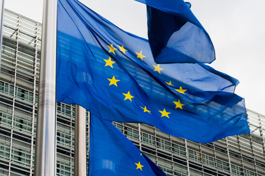Venti ceo delle Tlc alla Ue, 'agire per proteggere il futuro digitale'