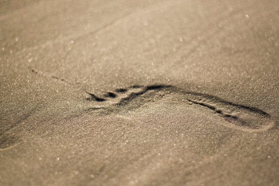 Una impronta sulla spiaggia. Fonte: constantm - iStock