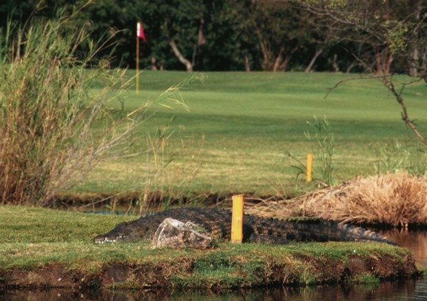 Golf e ambiente, un rapporto molto stretto (foto: ANSA)