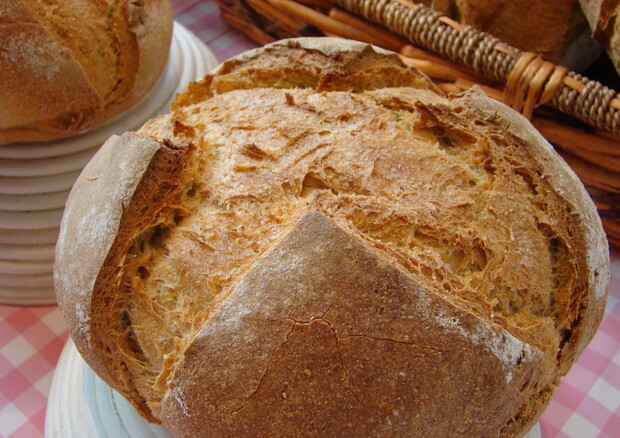 Come riconoscere il pane artigianale di qualità (ANSA)