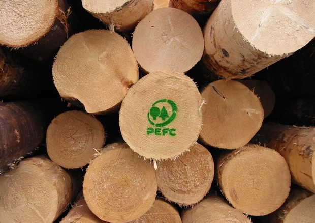 Su eco-packaging consumatori attenti, il 55% cerca logo PEFC © ANSA
