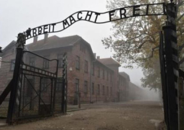 Polonia: sdegno per deputati No vax sotto scritta ispirata da Auschwitz (ANSA)