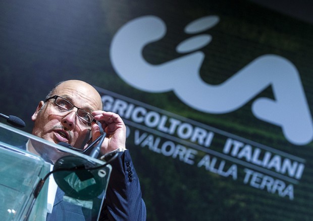 Dino Scanavino, presidente di Cia-Confederazione italiana agricoltori © 
