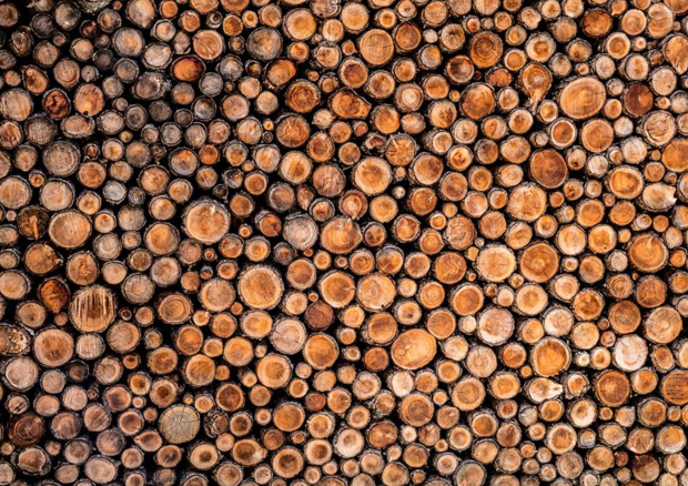 Consorzio Rilegno, riciclo legno cresciuto del 7% in un anno © Ansa