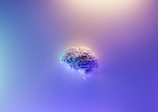 Rappresentazione grafica del cervello umano (fonte: Unsplash) (ANSA)
